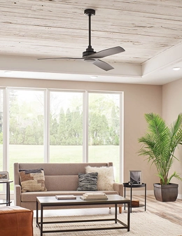 Ried ventilatore da soffitto